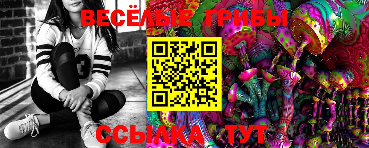 Мефедрон  ГАШ  Лыткарино  ГАШИШ  COCAIN  Вход с VPN  Меф МЯУ МЯУ кристаллы  А ПВП СК кристаллы 